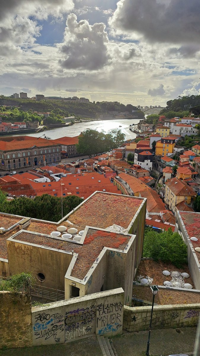 Park Hotel Porto Valongo