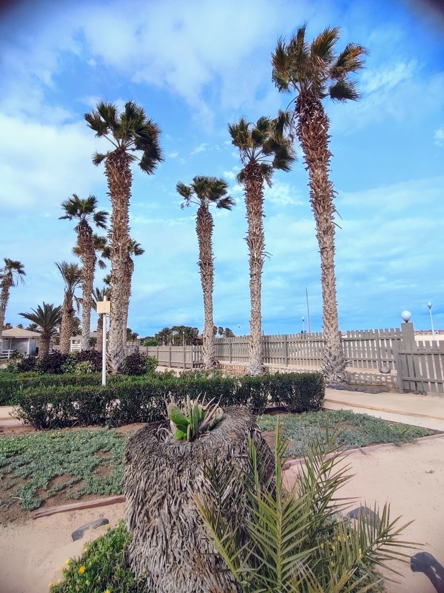 Hotel Oasis Atlantico Belorizonte