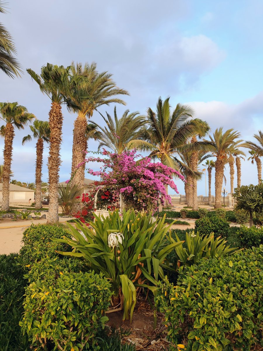 Hotel Oasis Atlantico Belorizonte