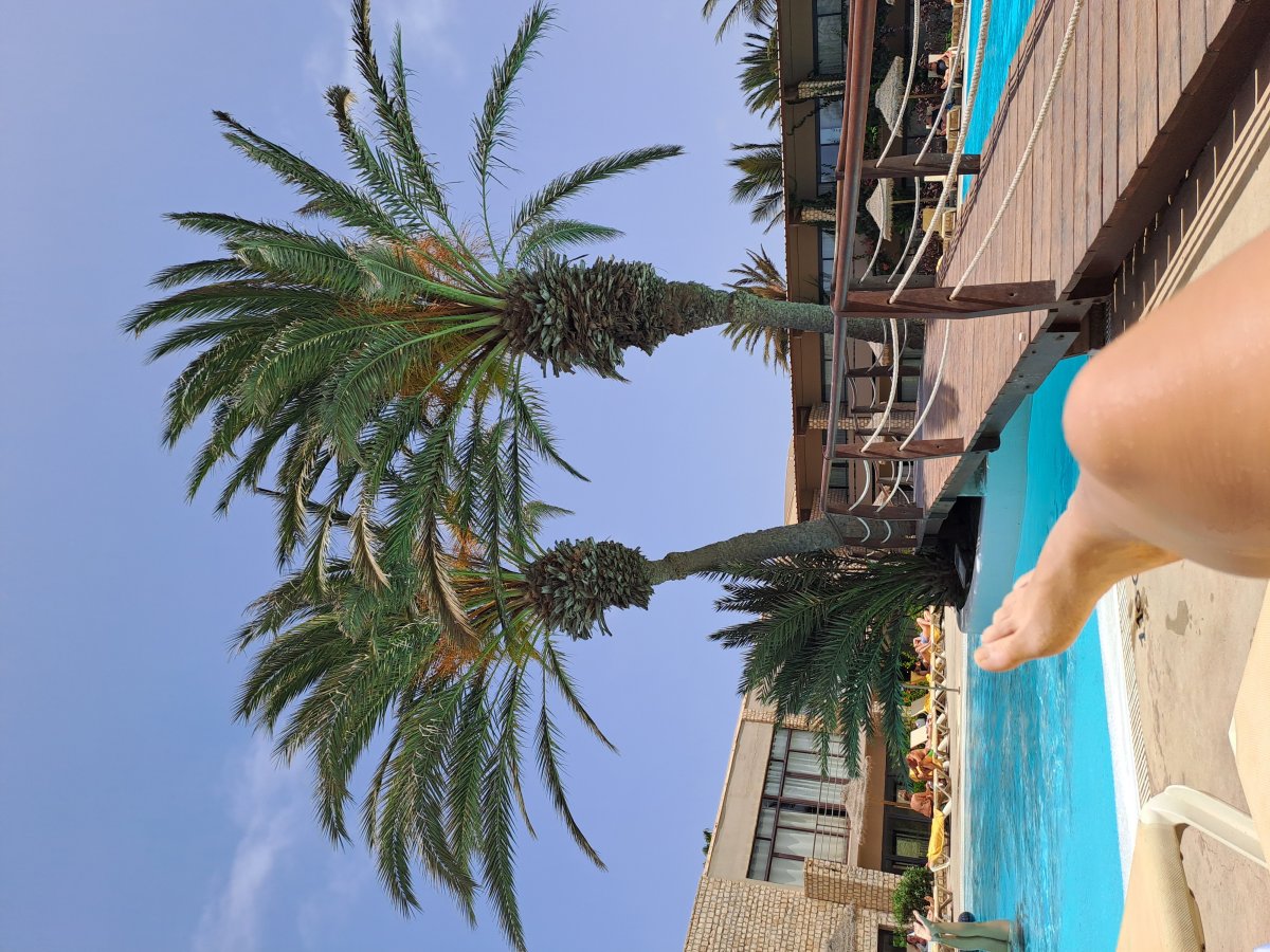 Hotel Oasis Atlantico Belorizonte