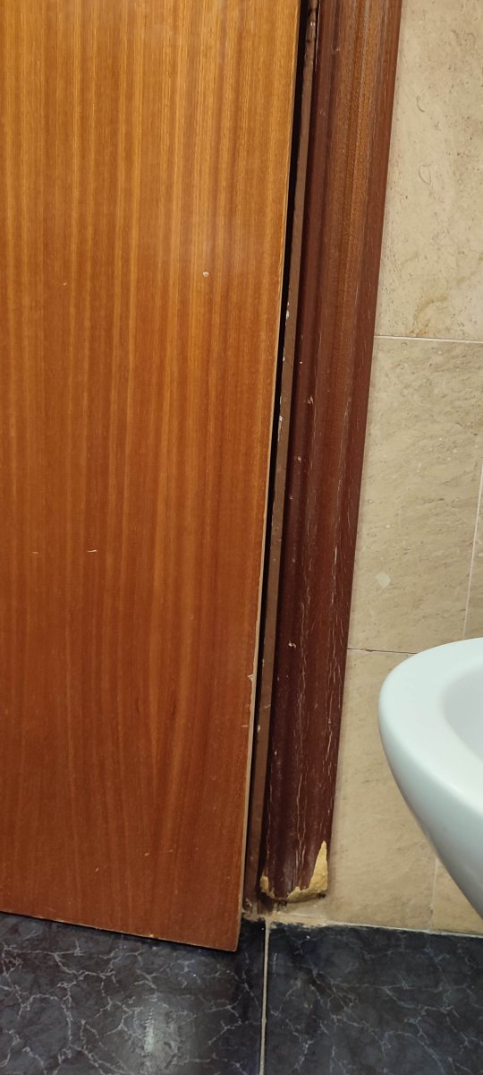 Hotel Cabana
