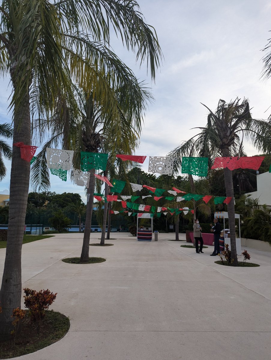 Hotel Allegro Playacar