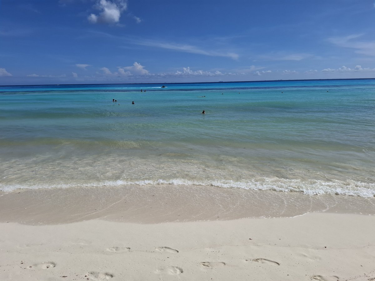 Hotel Allegro Playacar