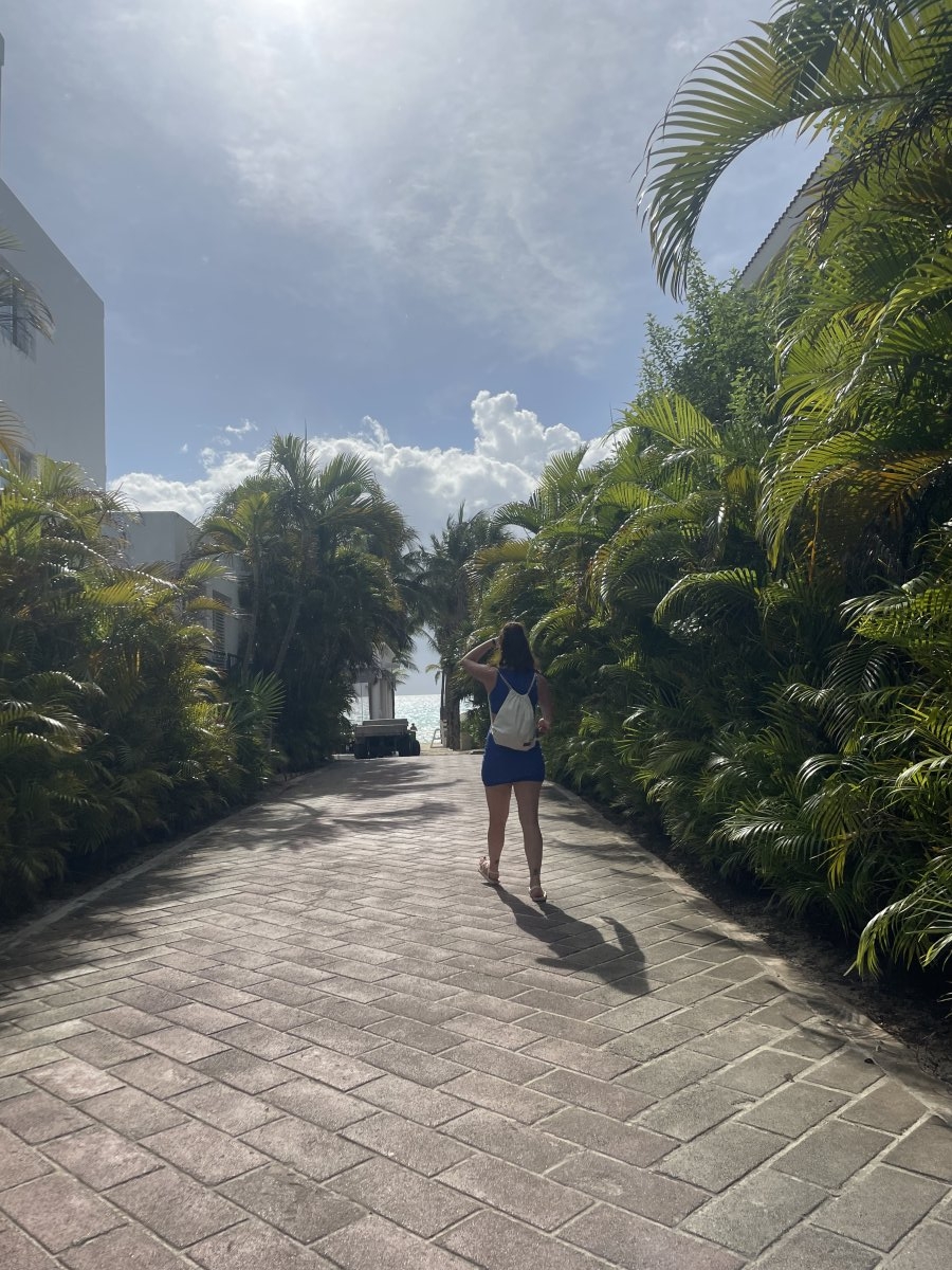 Hotel Riu Lupita