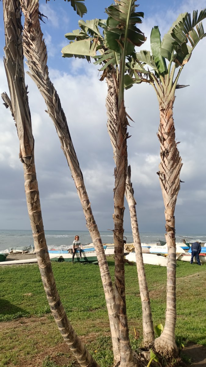 FAY Victoria Beach