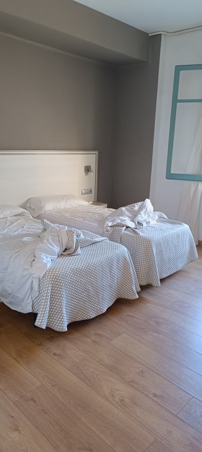 Hotel Planas