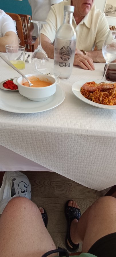 Hotel Planas