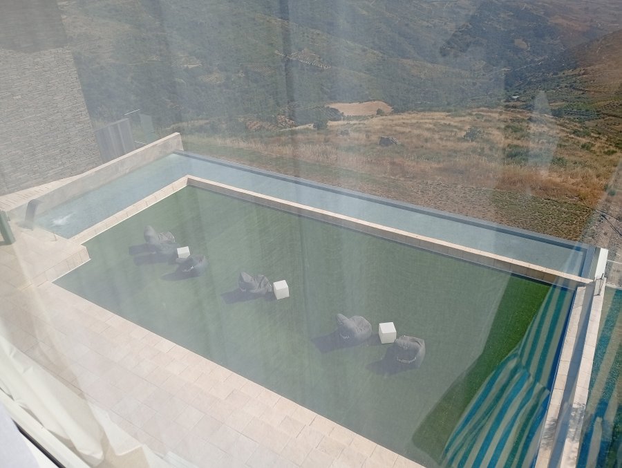 Oca Douro Valley Hotel and Spa
