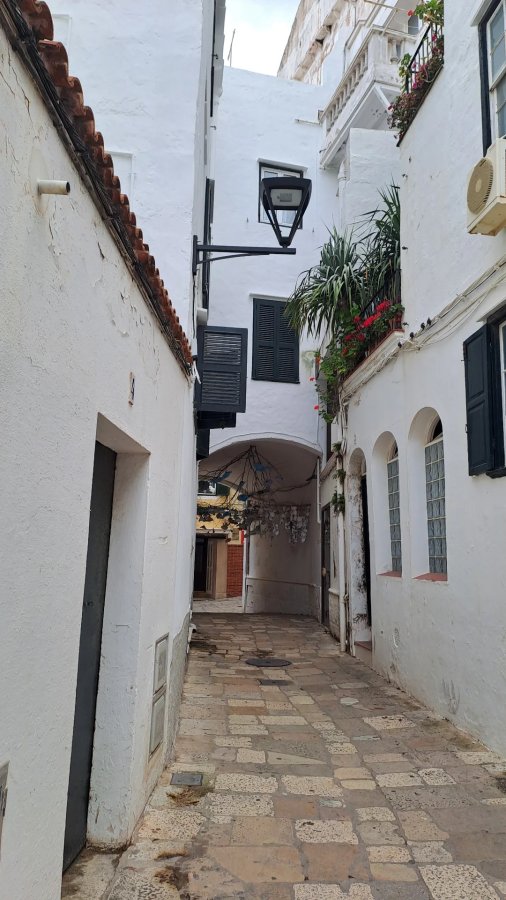 Hotel BLUESEA Lentiscos