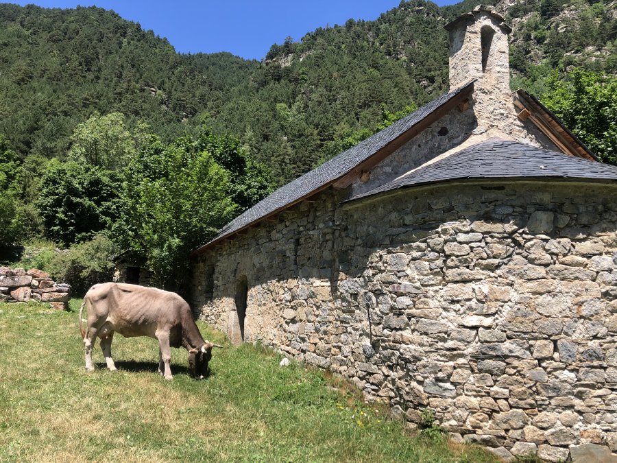 Hotel Romànic