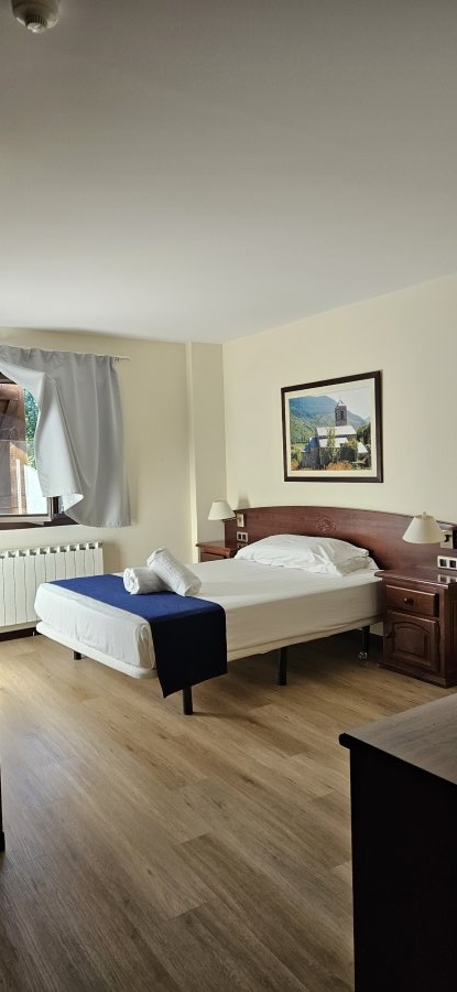 Hotel Romànic