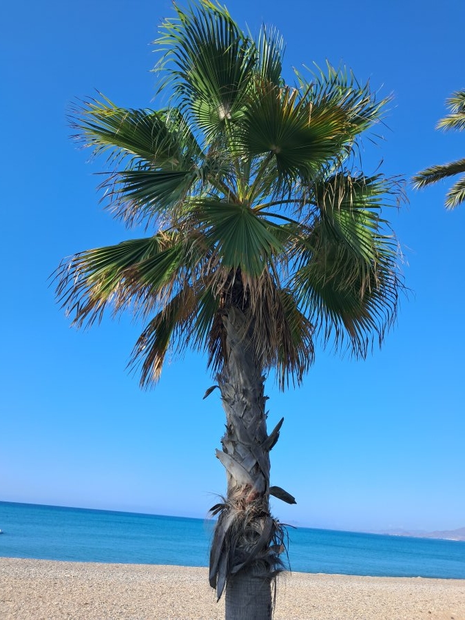 Hotel Playa Grande