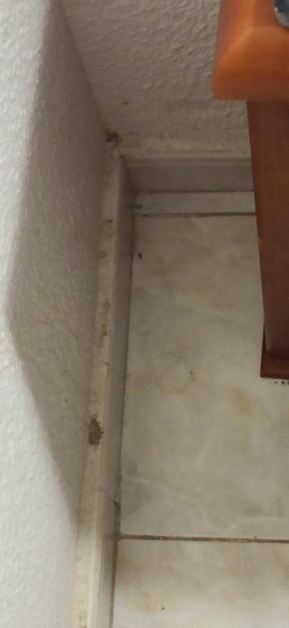 Hotel Cabana