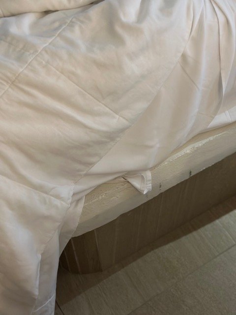 Hotel Allegro Playacar