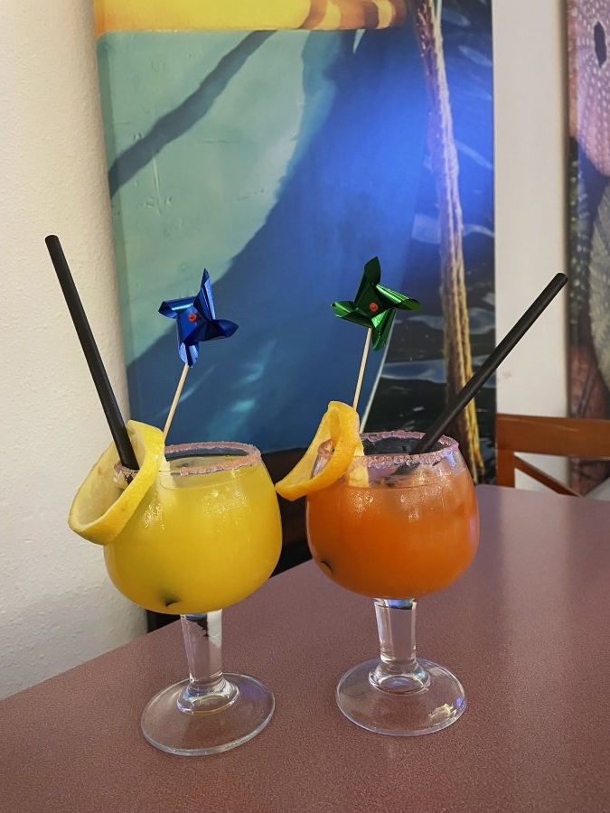 Hotel Gran Garbí