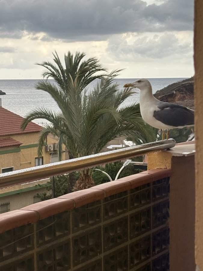 Hotel Playa Grande
