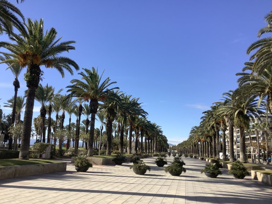 Gran Claustre Boutique Hotel & SPA