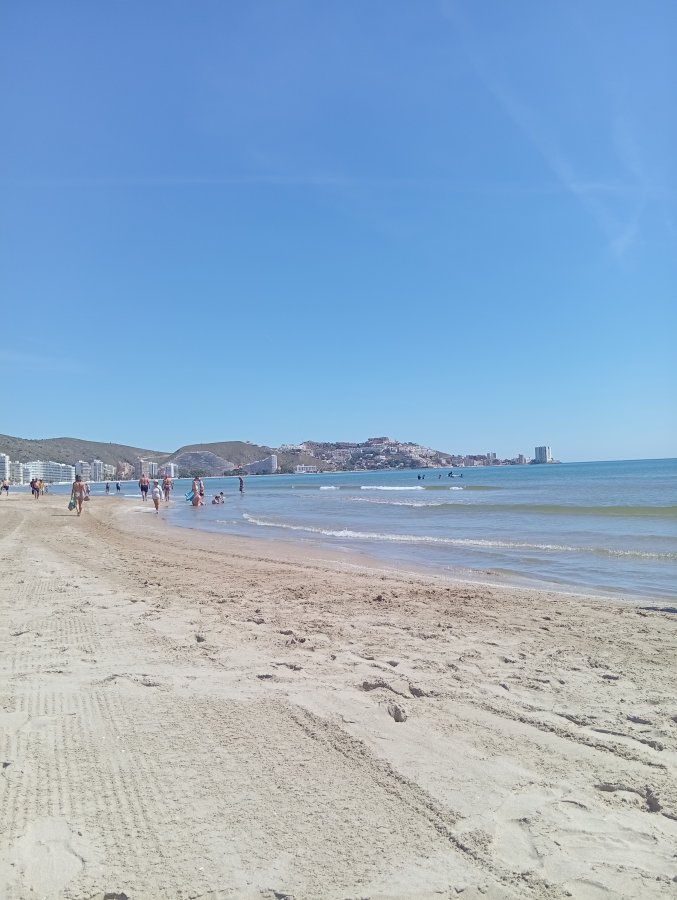 BLUESEA Faro Cullera