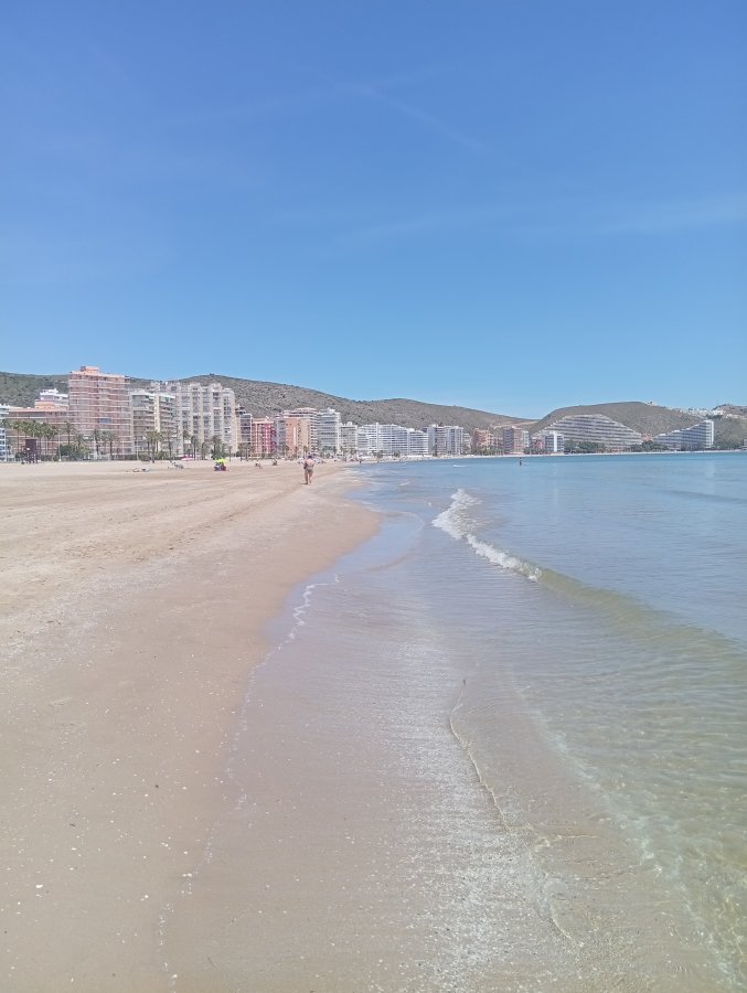 BLUESEA Faro Cullera