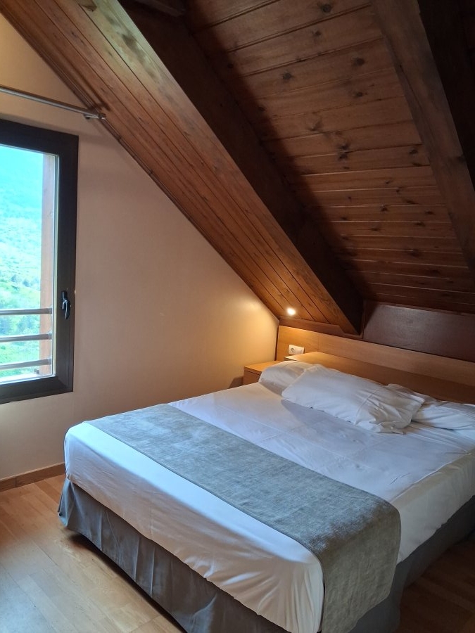 Aparthotel Siente Boí & Spa