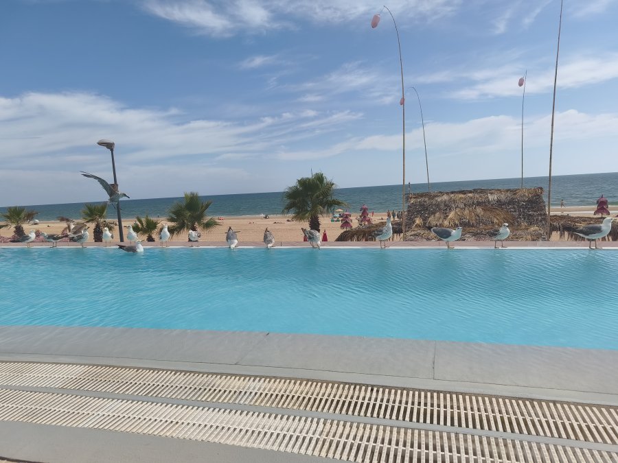 On Hotels Oceanfront Adults Designed