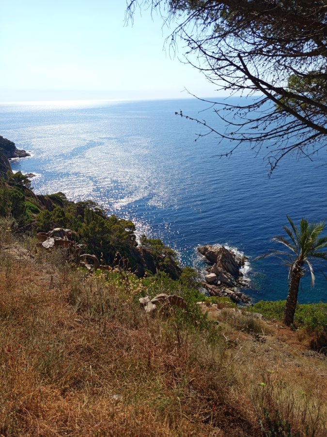 BLUESEA Continental