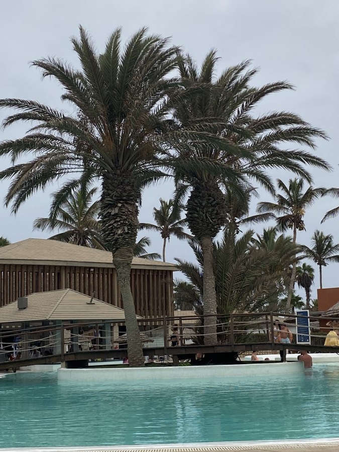Hotel Oasis Atlantico Belorizonte