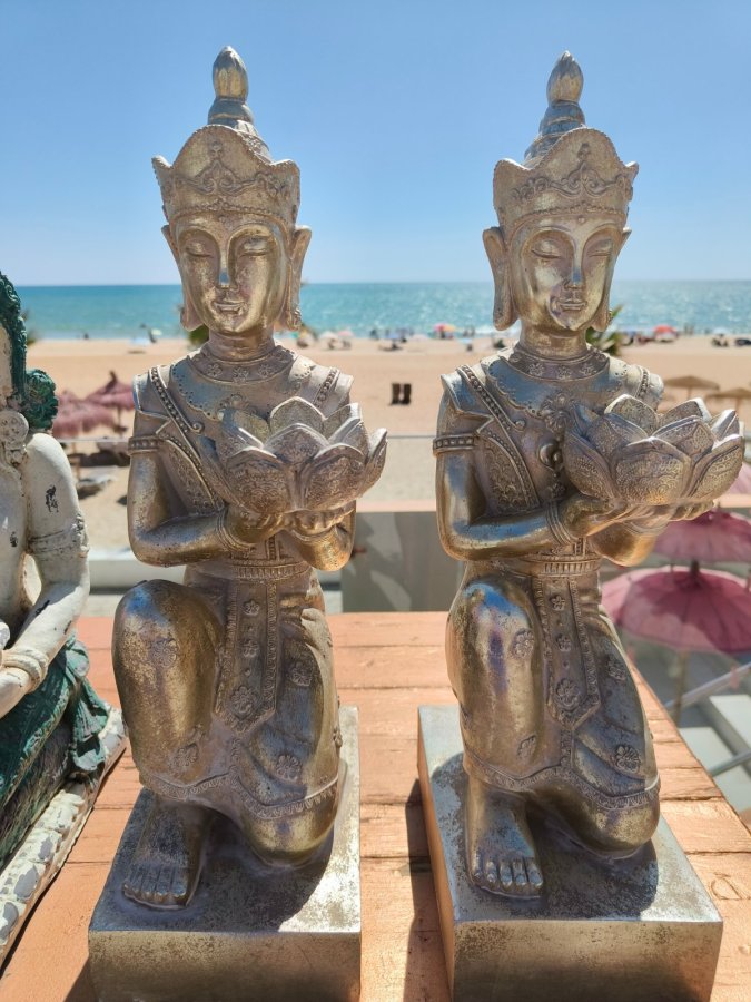 On Hotels Oceanfront Adults Designed