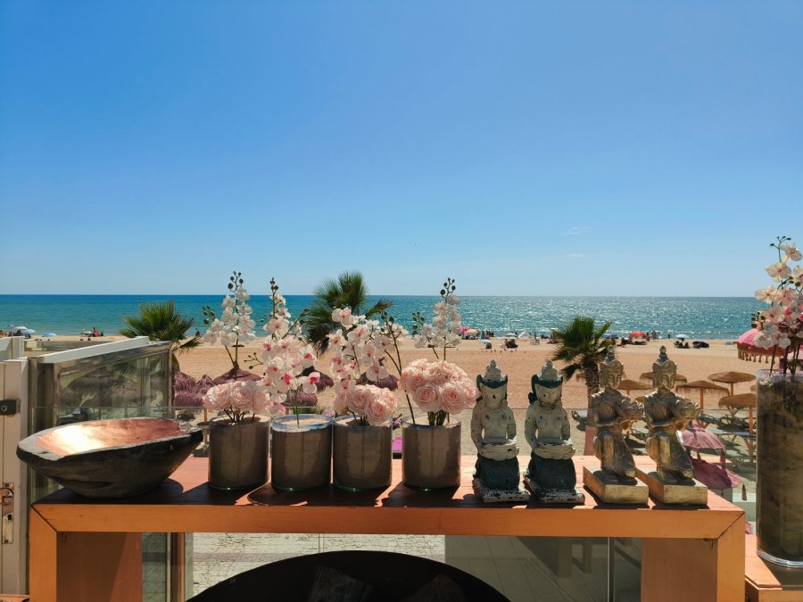 On Hotels Oceanfront Adults Designed