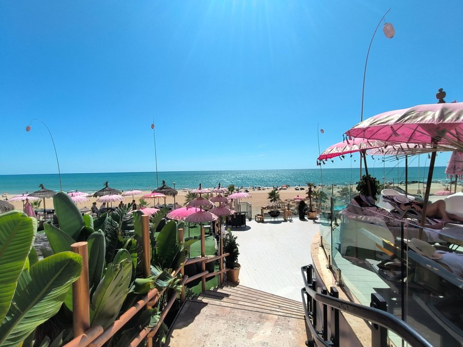 On Hotels Oceanfront Adults Designed