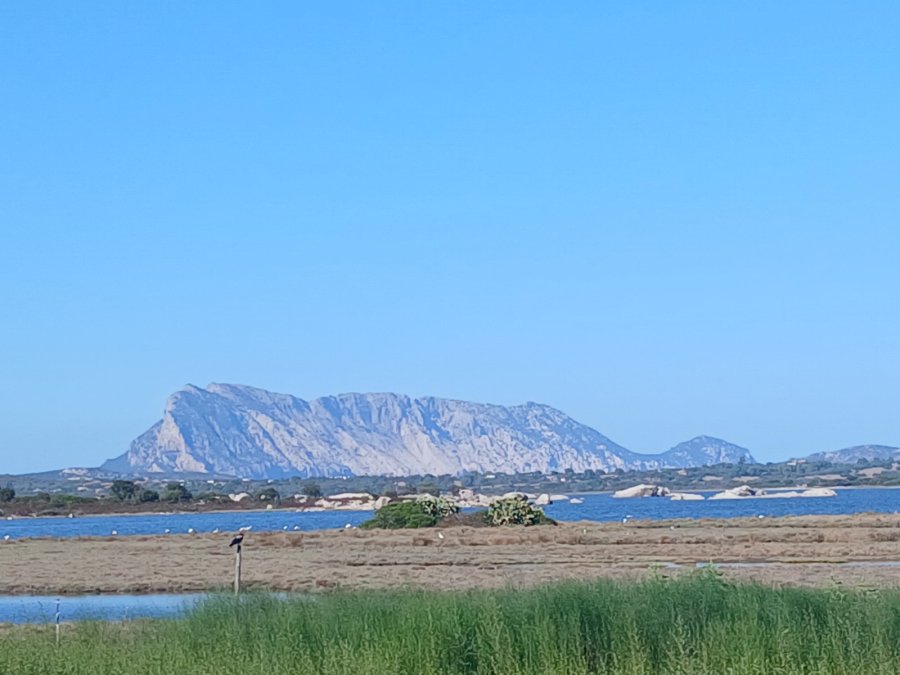 Borgo di Badesi