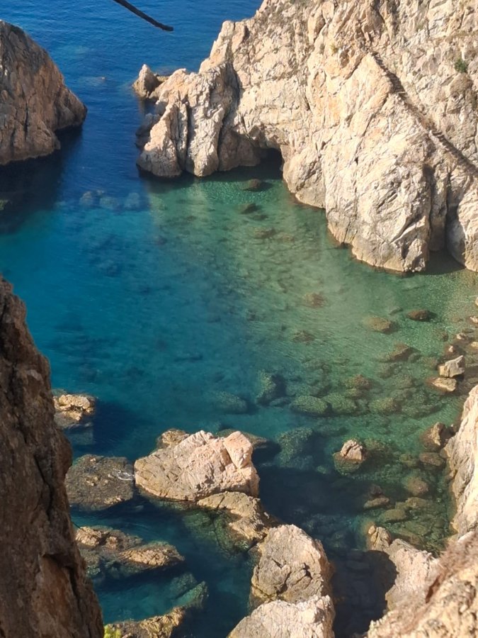 BLUESEA Continental