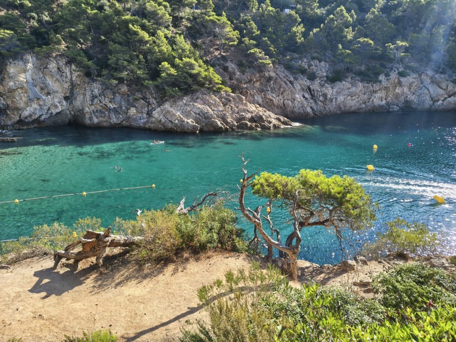 BLUESEA Continental