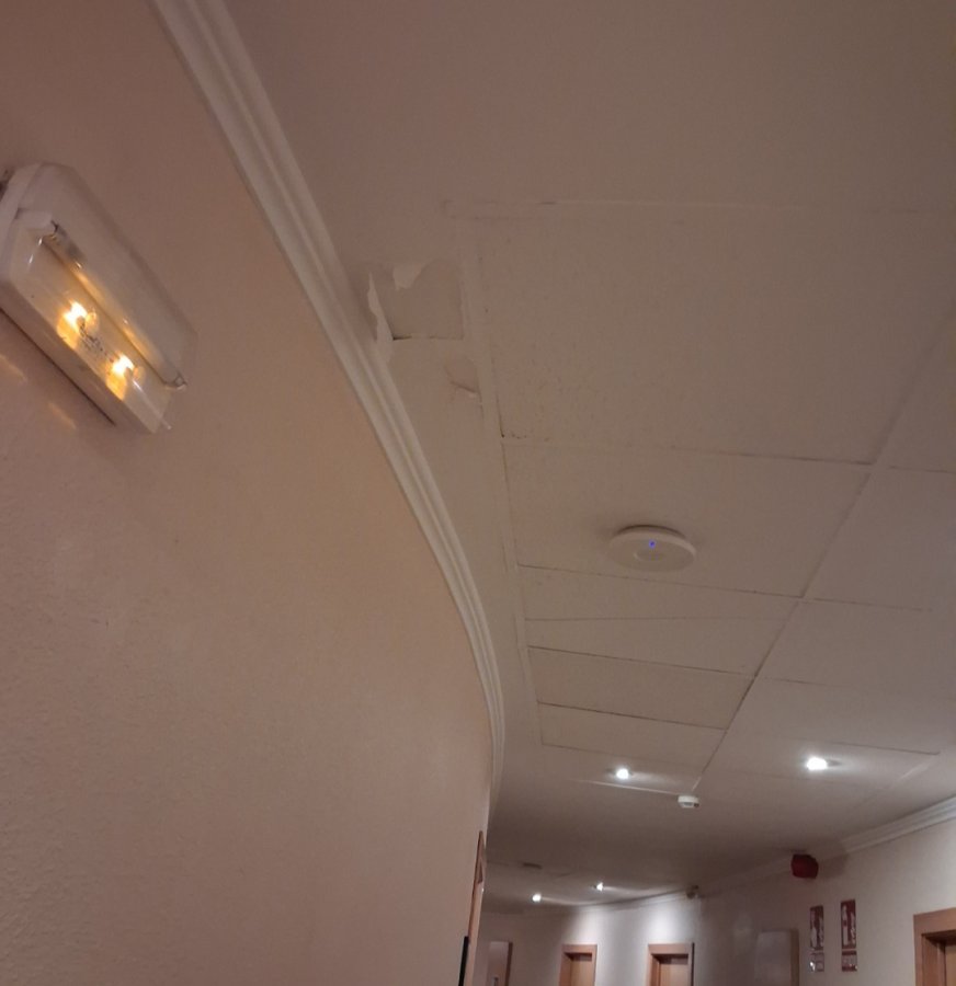 Hotel ALEGRIA Pino Alto