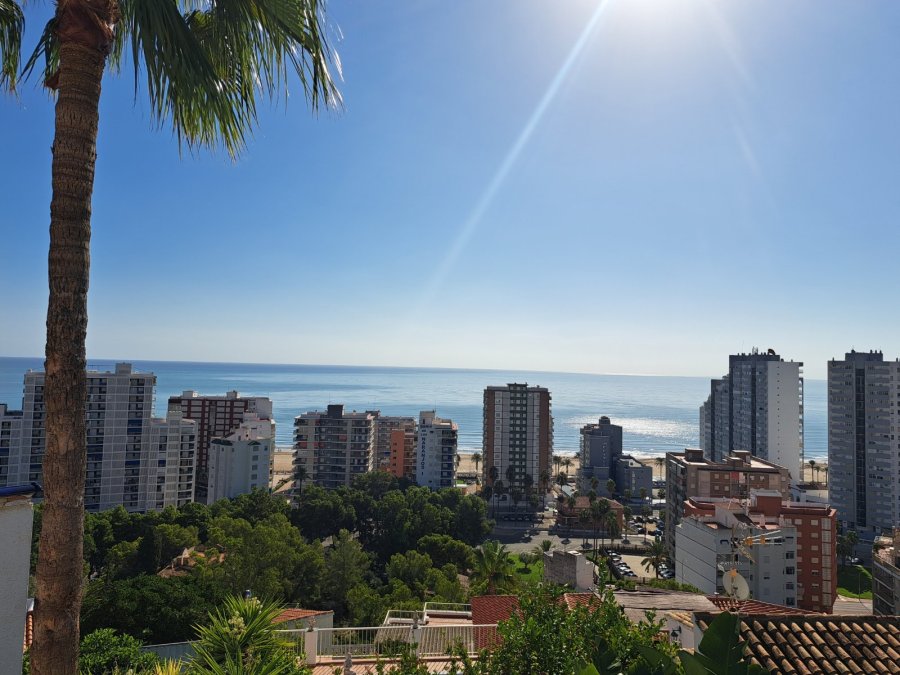 BLUESEA Faro Cullera