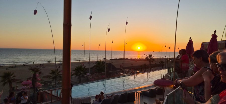 On Hotels Oceanfront Adults Designed