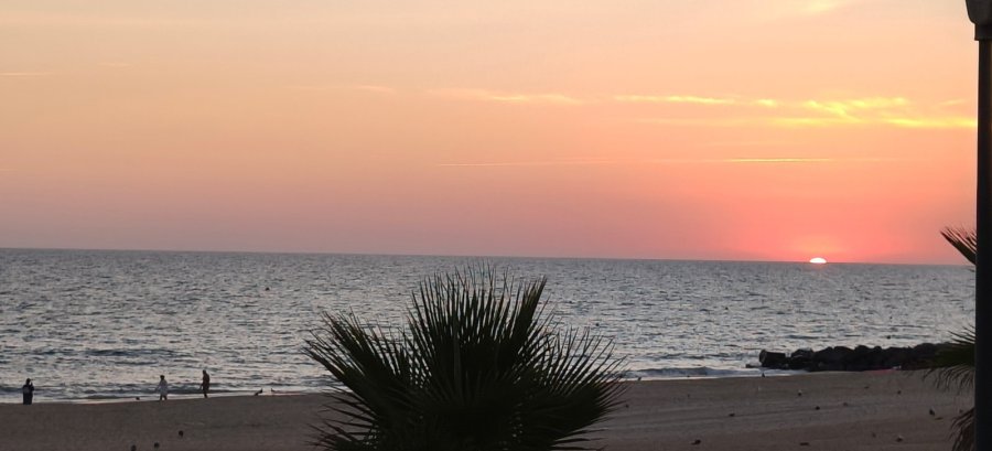 On Hotels Oceanfront Adults Designed
