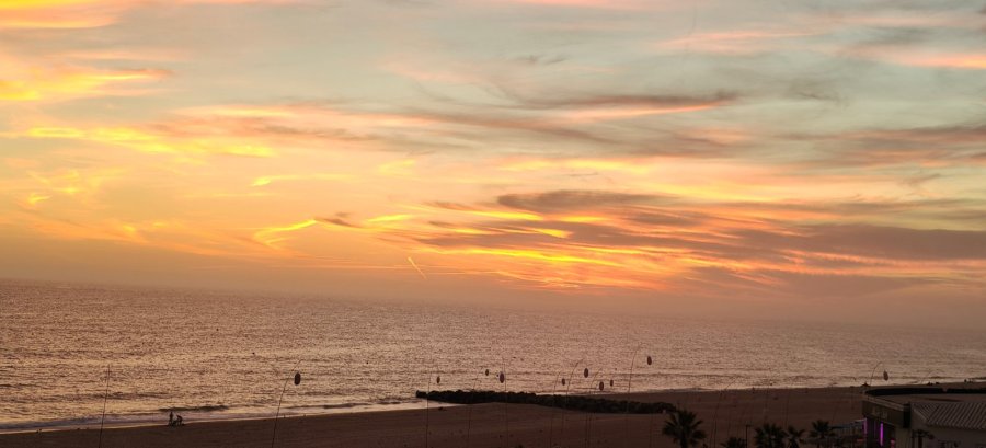 On Hotels Oceanfront Adults Designed