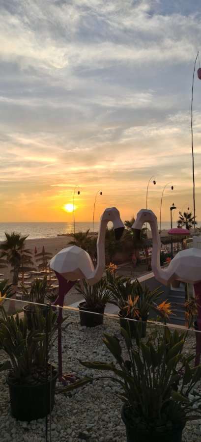 On Hotels Oceanfront Adults Designed