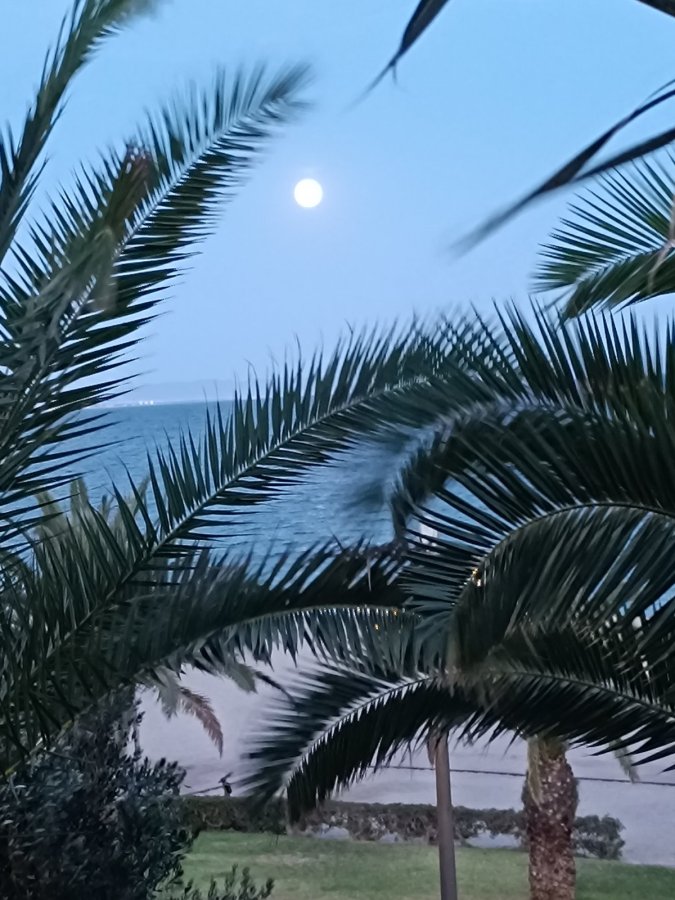 Moon Dreams Portomagno