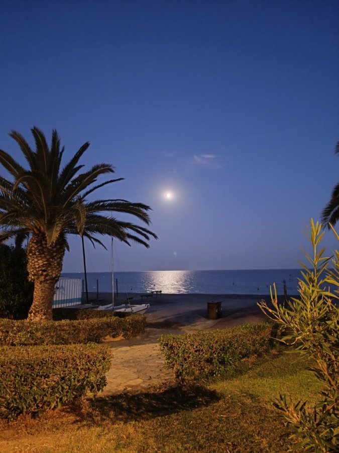 Moon Dreams Portomagno