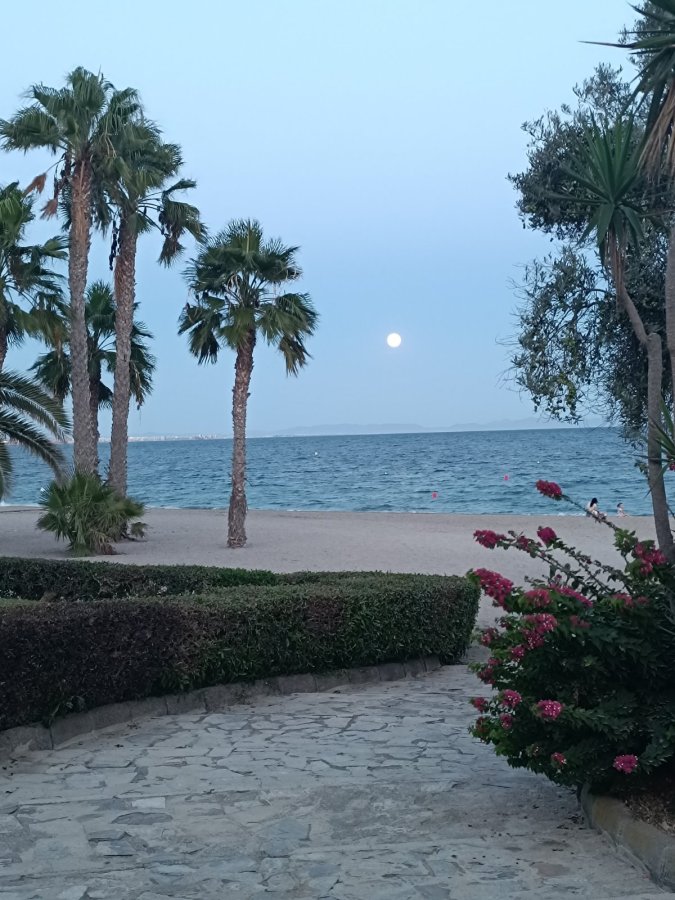 Moon Dreams Portomagno