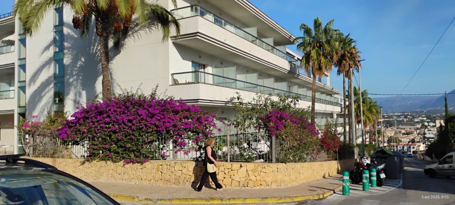 Sun Palace Albir & Spa
