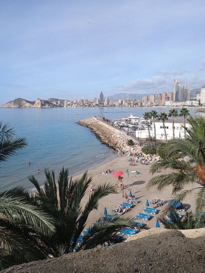 Port Fiesta Park