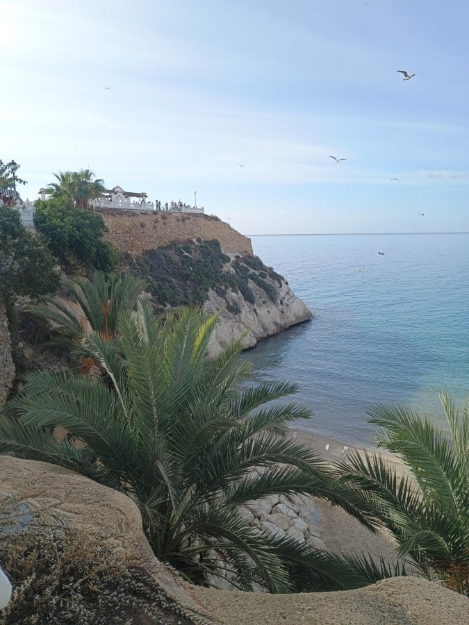 Port Fiesta Park